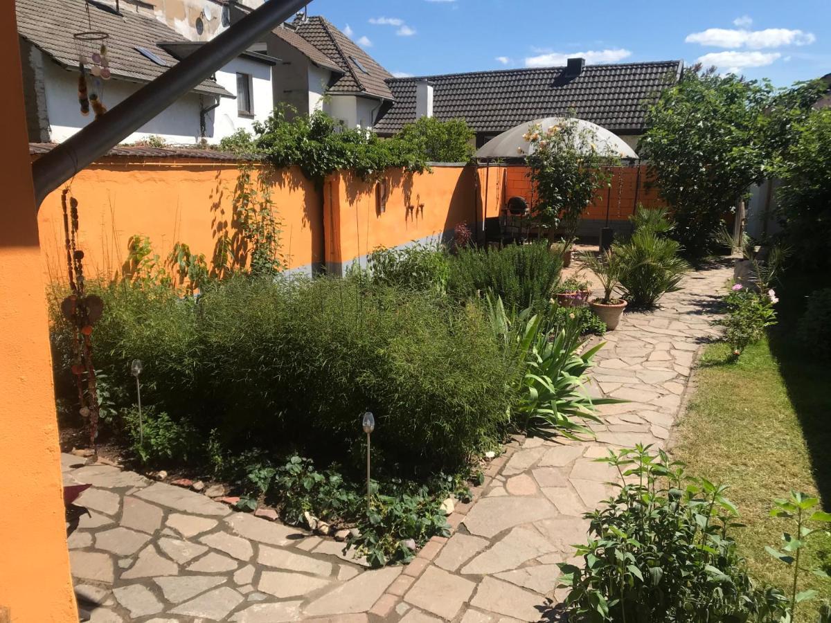 Vila Ferienhaus Rheinperle Mit Garten In Remagen Am Rhein - Naehe Bonn Exteriér fotografie
