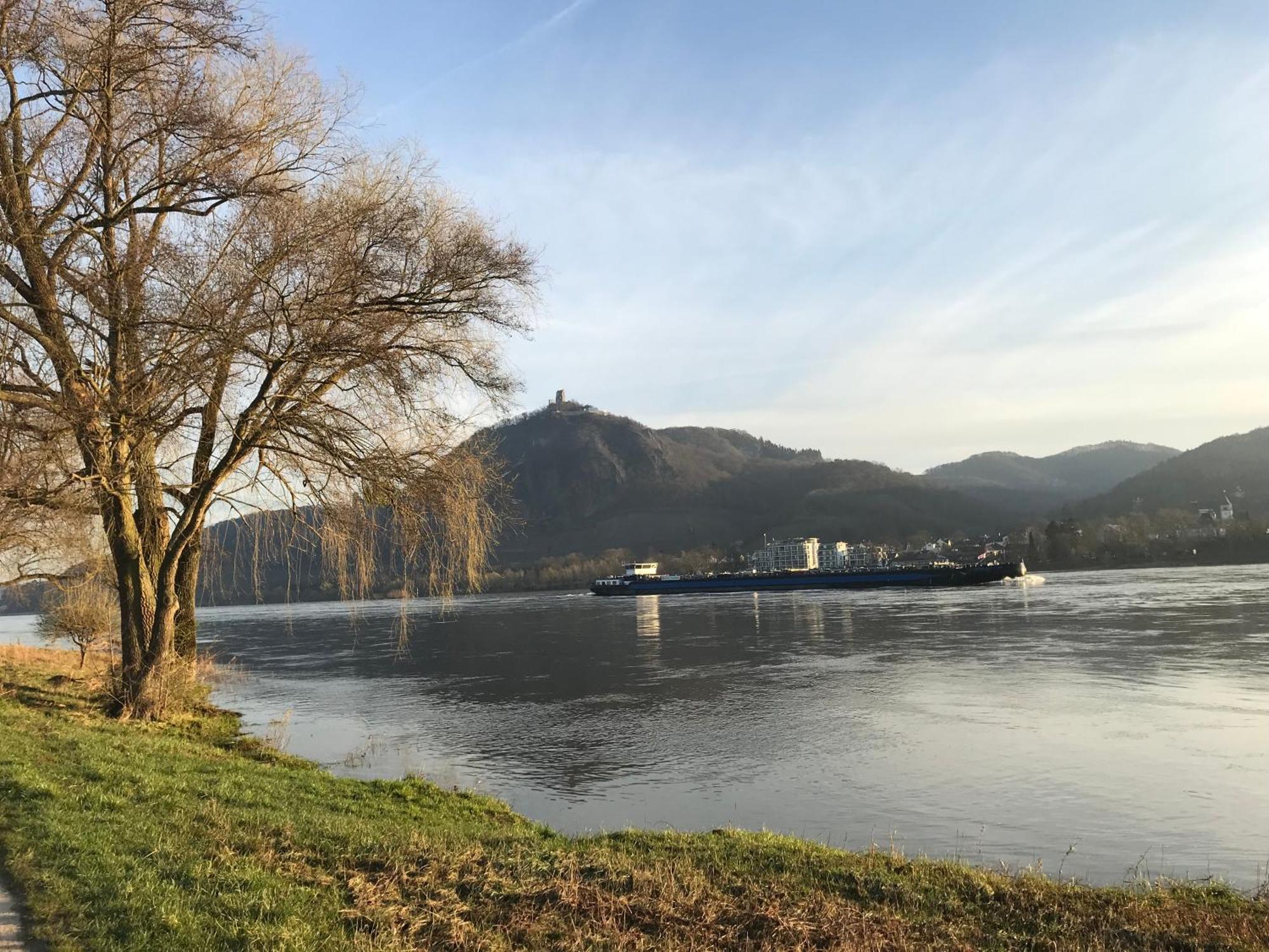 Vila Ferienhaus Rheinperle Mit Garten In Remagen Am Rhein - Naehe Bonn Exteriér fotografie